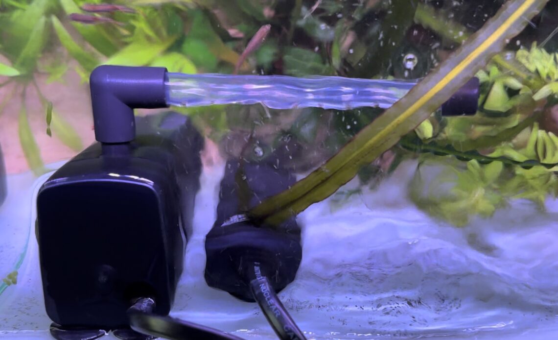 Internal filter in the corner of a nano aquarium