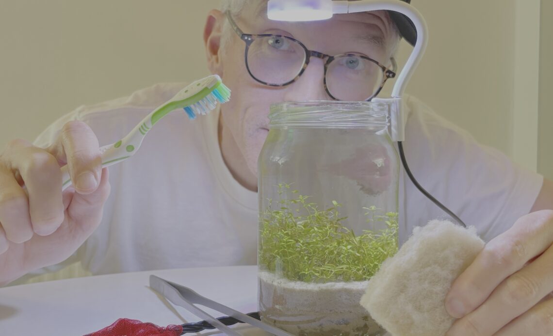 Aquascaper with toothbrush and sponge ready to clean jar aquascape