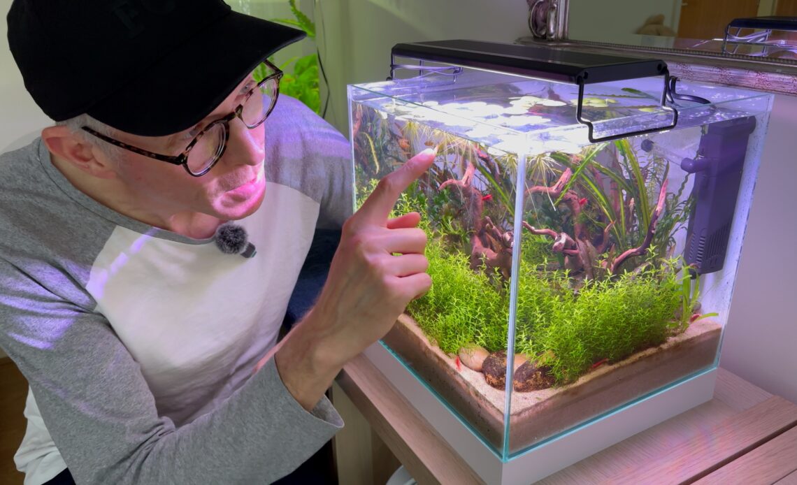 Man in black baseball cap enthusiastically pointing towards a cube nanoscape aquarium