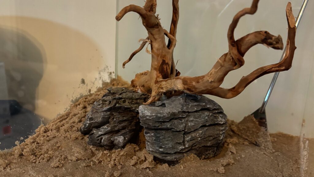 Azalea root and elephant skin rock hardscape for a nano cube aquascape