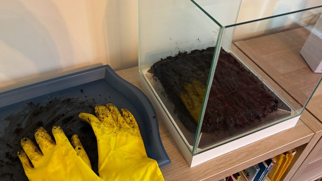Mud being put into an empty nano cube aquarium