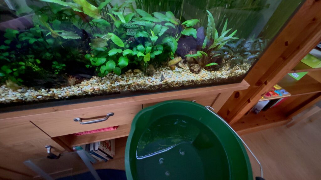 Large aquarium with bucket of aquarium water in front of it