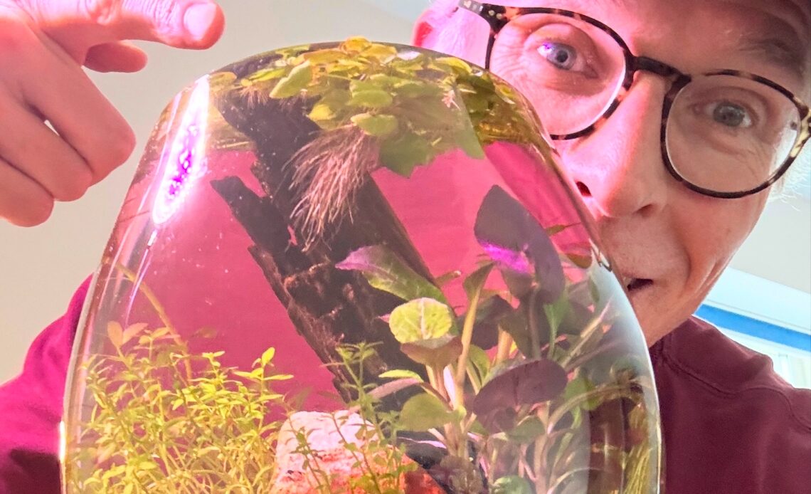 man pointing to a giant wine glass aquarium
