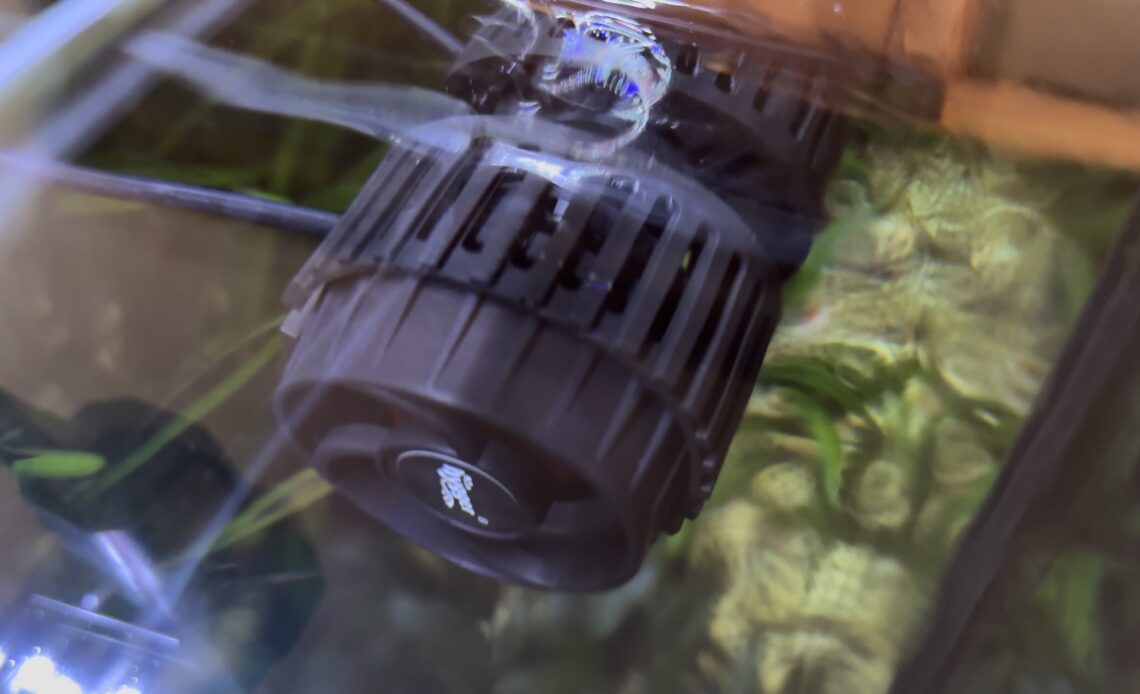 Small hygger powerhead aka wave maker installed in community fish tank